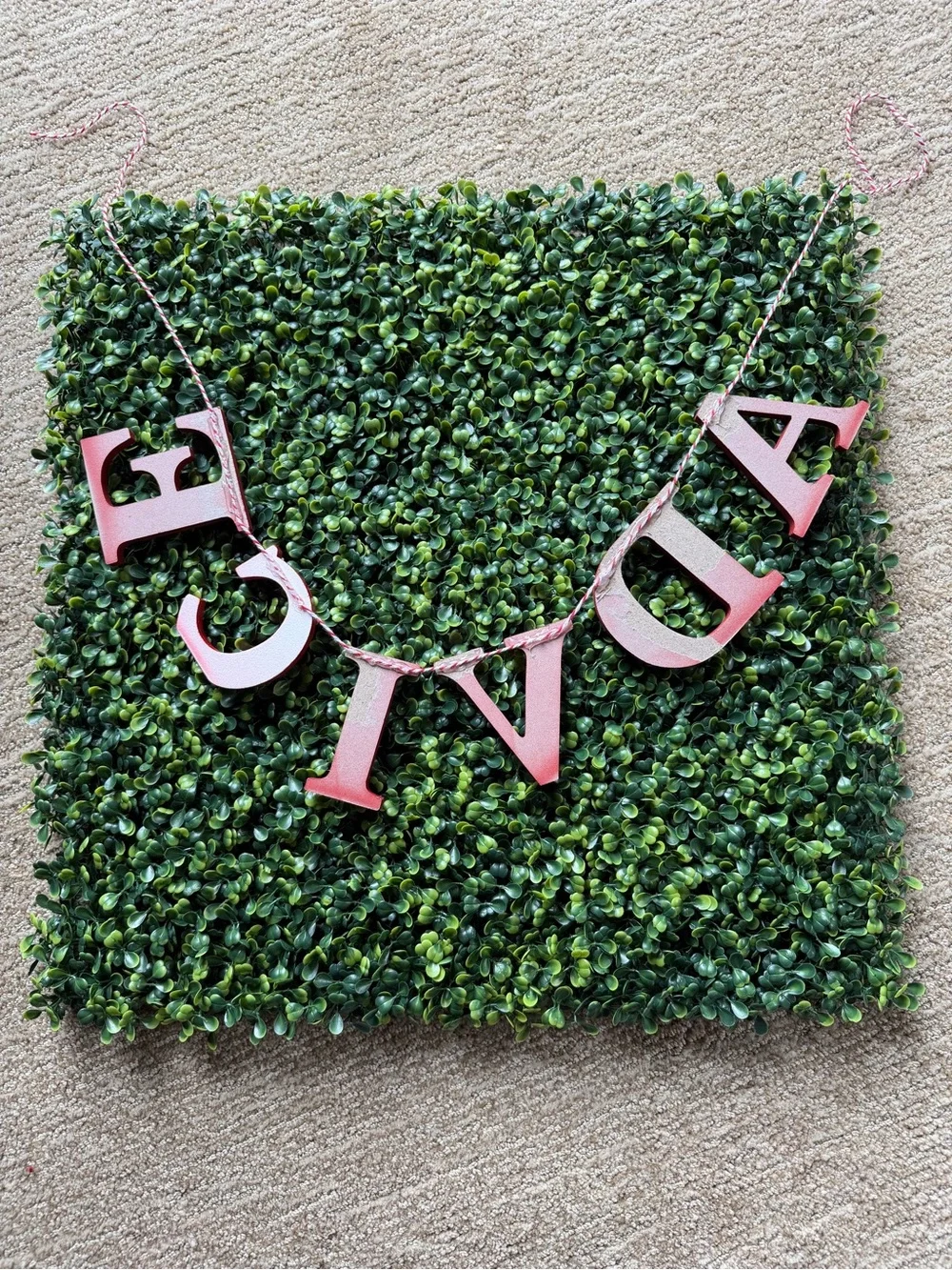 ❤️ Red “ADVICE” Party Banner Garland ❤️